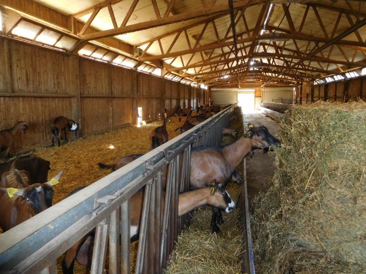 d'une Eure à l'autre Sainte-Gemme-Moronval Extérieur photo